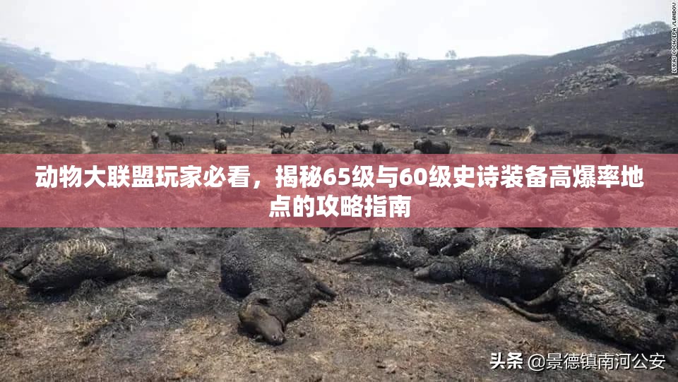 動(dòng)物大聯(lián)盟玩家必看，揭秘65級(jí)與60級(jí)史詩(shī)裝備高爆率地點(diǎn)的攻略指南
