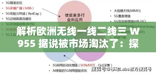 解析歐洲無線一線二線三 W955 據(jù)說被市場淘汰了：探究其背后原因與影響