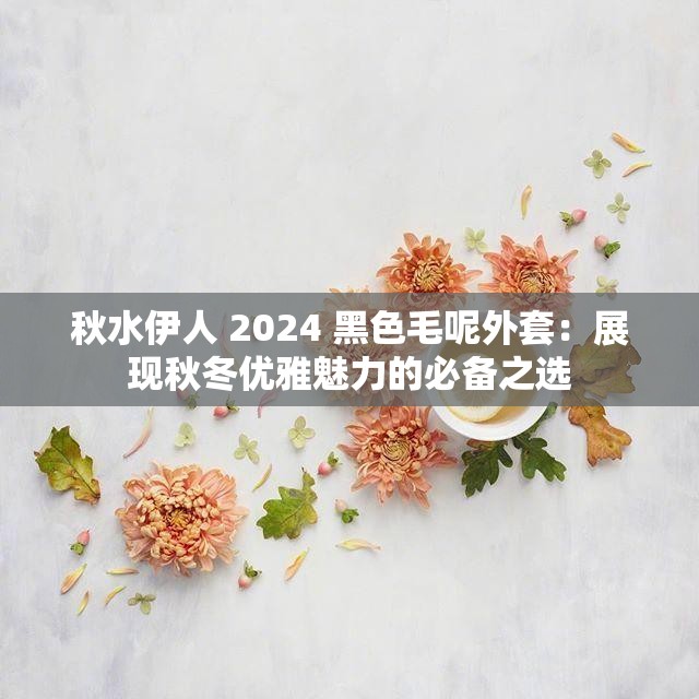 秋水伊人 2024 黑色毛呢外套：展現(xiàn)秋冬優(yōu)雅魅力的必備之選