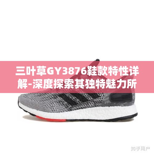三葉草GY3876鞋款特性詳解-深度探索其獨(dú)特魅力所在