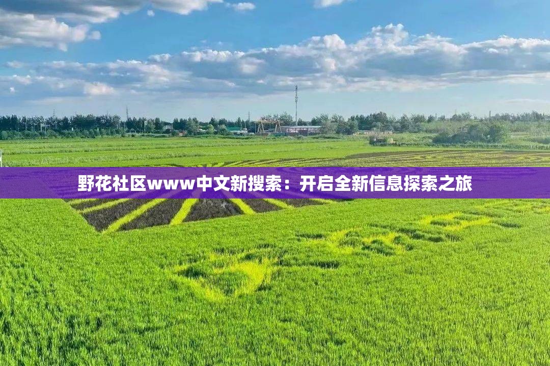 野花社區(qū)www中文新搜索：開啟全新信息探索之旅