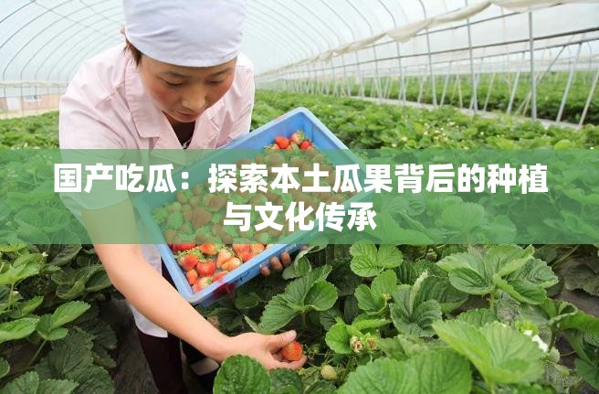 國產(chǎn)吃瓜：探索本土瓜果背后的種植與文化傳承