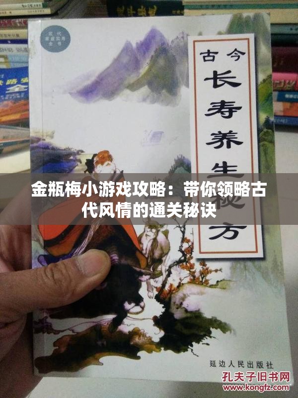 金瓶梅小游戲攻略：帶你領(lǐng)略古代風(fēng)情的通關(guān)秘訣