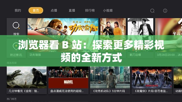 瀏覽器看 B 站：探索更多精彩視頻的全新方式