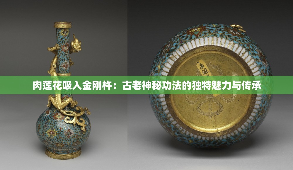 肉蓮花吸入金剛杵：古老神秘功法的獨(dú)特魅力與傳承