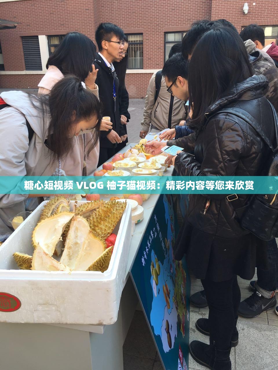 糖心短視頻 VLOG 柚子貓視頻：精彩內(nèi)容等您來欣賞