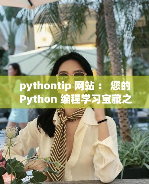 pythontip 網(wǎng)站 ： 您的 Python 編程學(xué)習(xí)寶藏之地