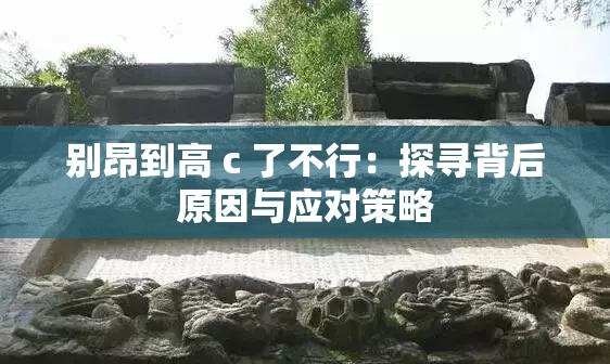別昂到高 c 了不行：探尋背后原因與應(yīng)對(duì)策略
