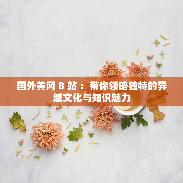 國(guó)外黃岡 B 站 ：帶你領(lǐng)略獨(dú)特的異域文化與知識(shí)魅力