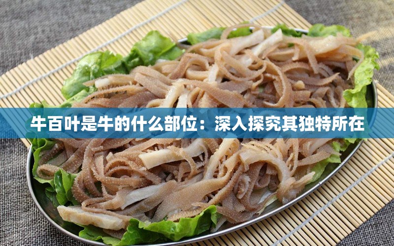 牛百葉是牛的什么部位：深入探究其獨特所在