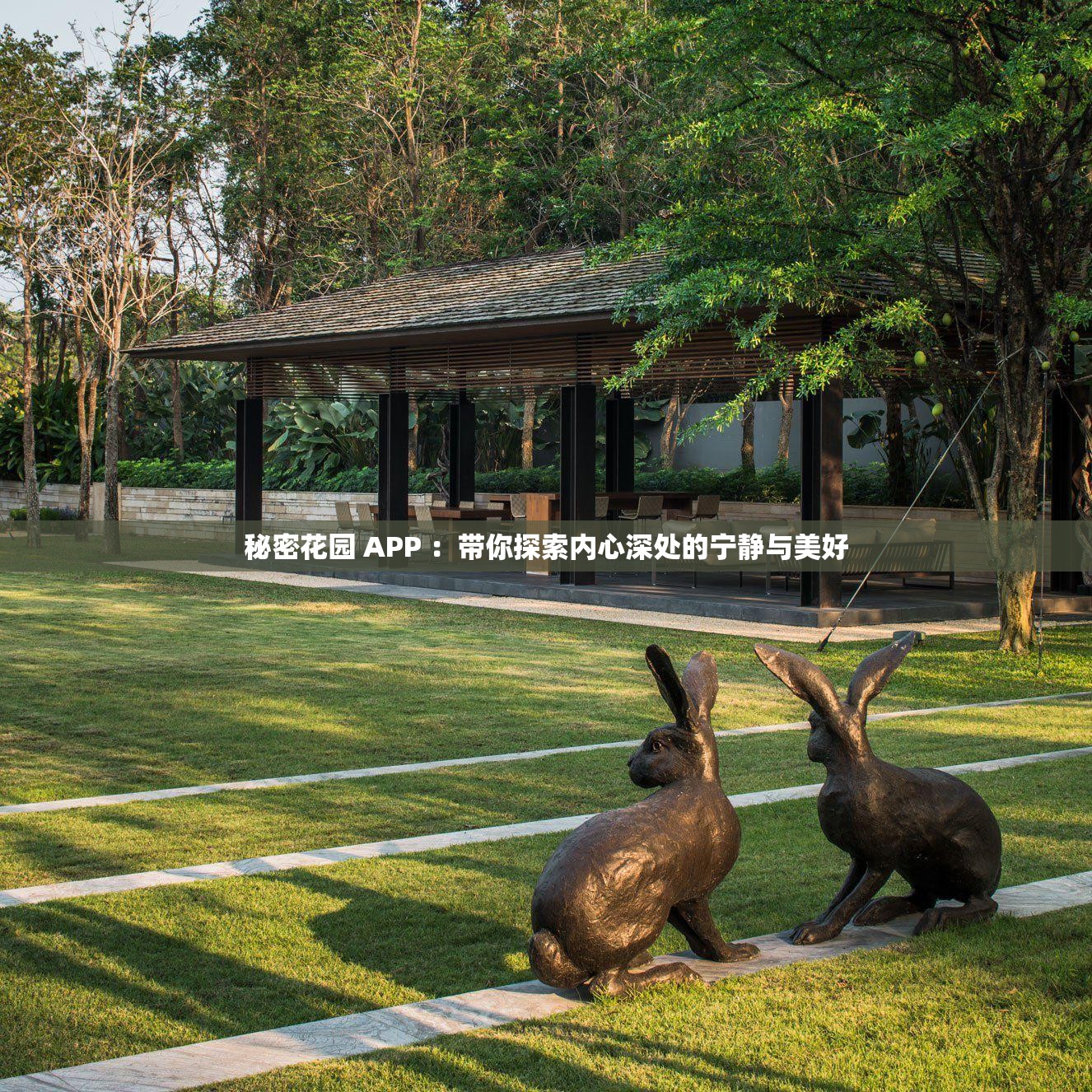 秘密花園 APP ：帶你探索內(nèi)心深處的寧靜與美好