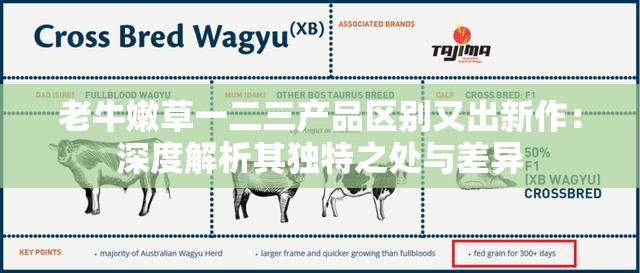 老牛嫩草一二三產(chǎn)品區(qū)別又出新作：深度解析其獨(dú)特之處與差異