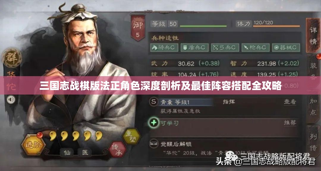 三國(guó)志戰(zhàn)棋版法正角色深度剖析及最佳陣容搭配全攻略