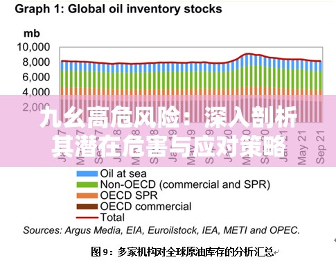 九幺高危風(fēng)險(xiǎn)：深入剖析其潛在危害與應(yīng)對(duì)策略