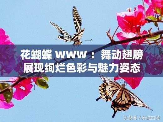 花蝴蝶 WWW ：舞動翅膀展現(xiàn)絢爛色彩與魅力姿態(tài)