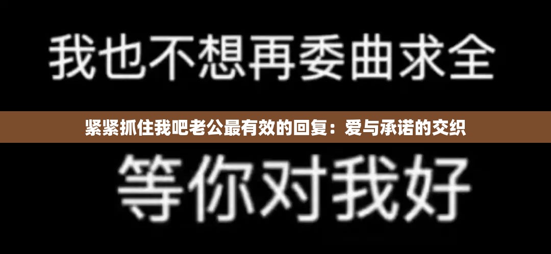 緊緊抓住我吧老公最有效的回復(fù)：愛與承諾的交織