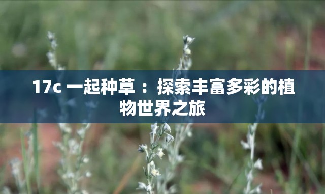 17c 一起種草 ：探索豐富多彩的植物世界之旅