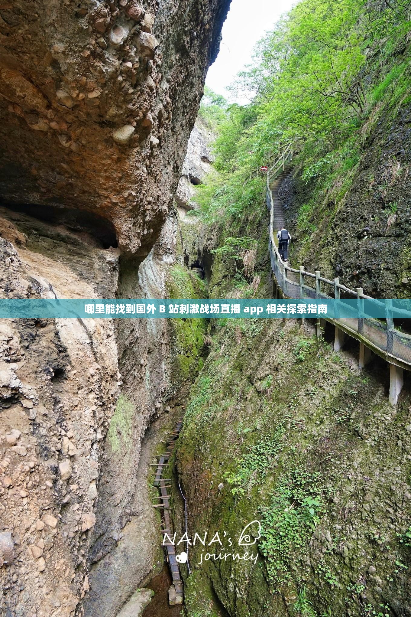 哪里能找到國外 B 站刺激戰(zhàn)場直播 app 相關探索指南