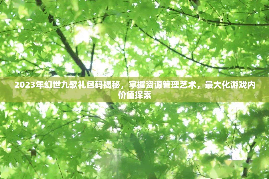 2023年幻世九歌禮包碼揭秘，掌握資源管理藝術(shù)，最大化游戲內(nèi)價(jià)值探索