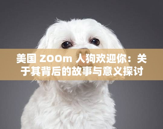 美國 ZOOm 人狗歡迎你：關于其背后的故事與意義探討