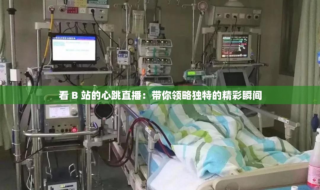 看 B 站的心跳直播：帶你領(lǐng)略獨特的精彩瞬間