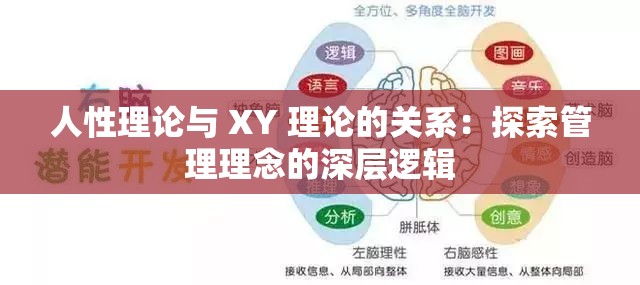 人性理論與 XY 理論的關系：探索管理理念的深層邏輯