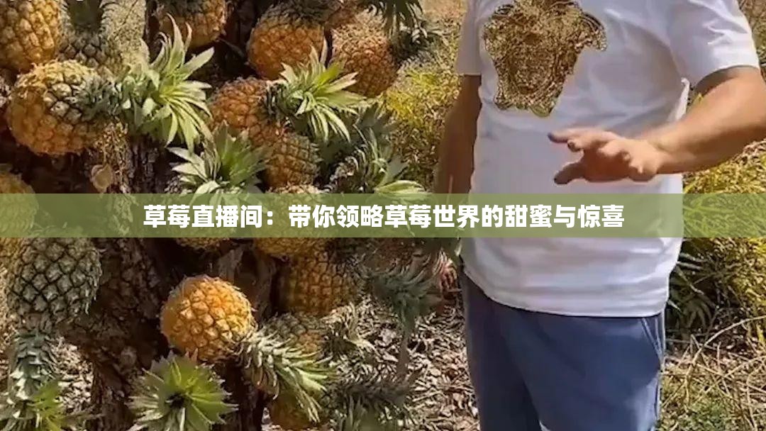 草莓直播間：帶你領略草莓世界的甜蜜與驚喜