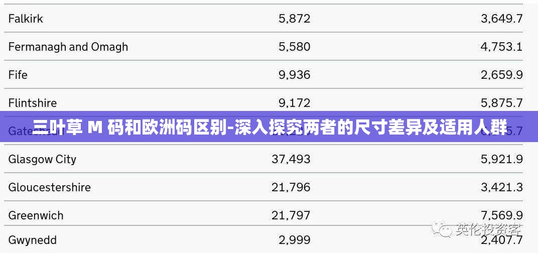 三葉草 M 碼和歐洲碼區(qū)別-深入探究兩者的尺寸差異及適用人群