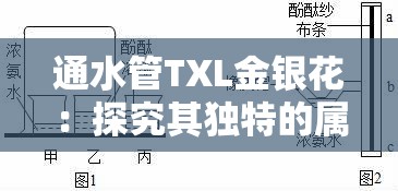 通水管TXL金銀花：探究其獨特的屬性與用途