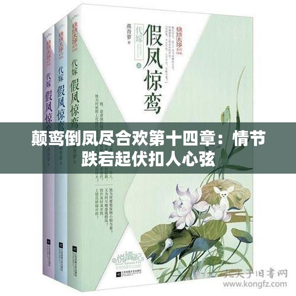 顛鸞倒鳳盡合歡第十四章：情節(jié)跌宕起伏扣人心弦