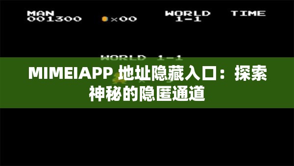 MIMEIAPP 地址隱藏入口：探索神秘的隱匿通道