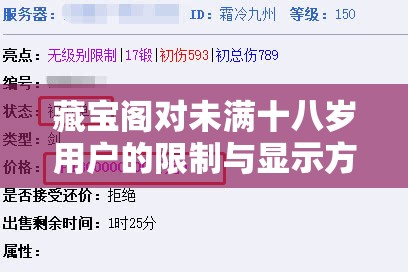藏寶閣對未滿十八歲用戶的限制與顯示方式-及相關探討