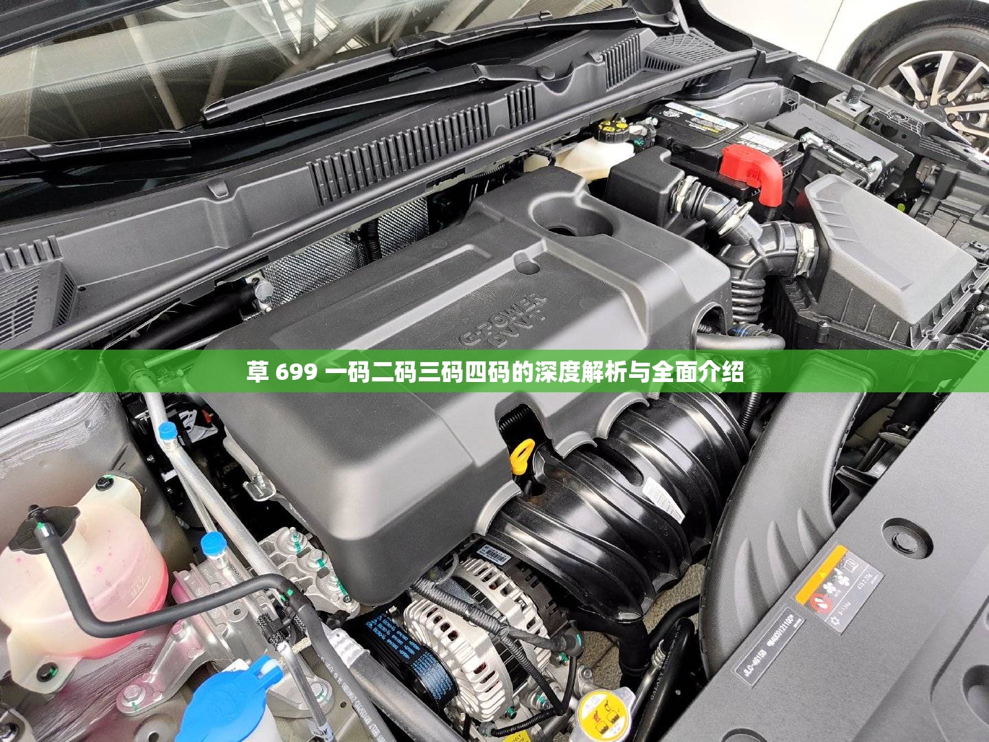 草 699 一碼二碼三碼四碼的深度解析與全面介紹