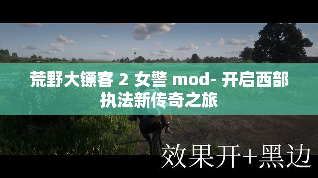 荒野大鏢客 2 女警 mod- 開啟西部執(zhí)法新傳奇之旅