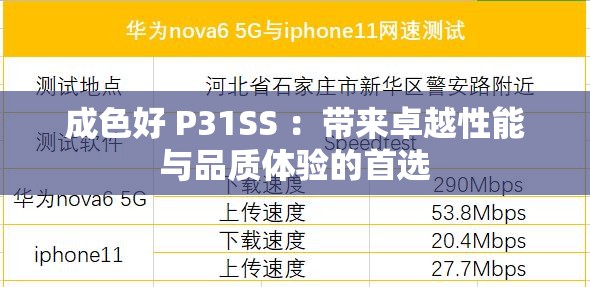 成色好 P31SS ：帶來卓越性能與品質體驗的首選