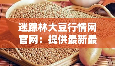 迷蹤林大豆行情網官網：提供最新最全面大豆行情資訊