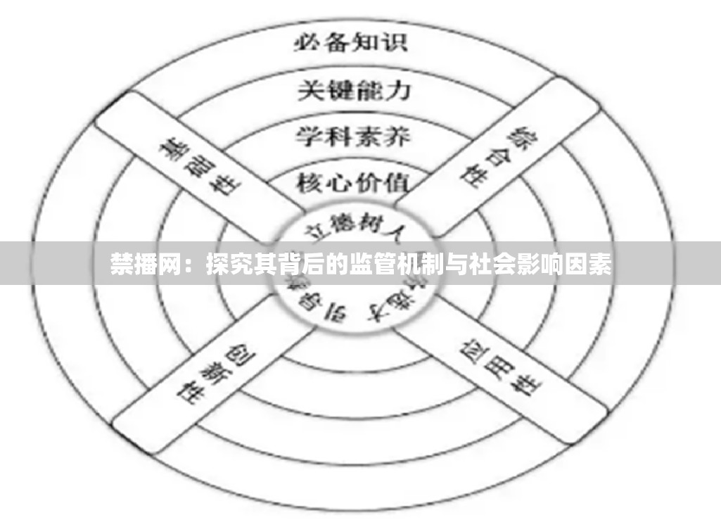 禁播網(wǎng)：探究其背后的監(jiān)管機(jī)制與社會(huì)影響因素
