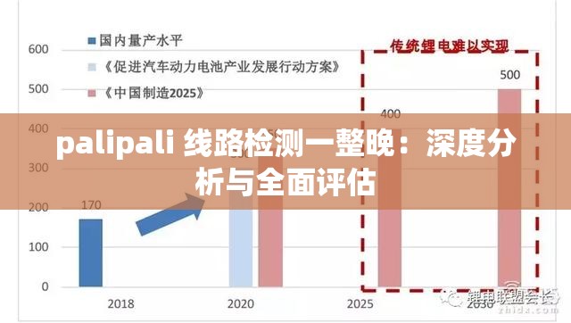 palipali 線路檢測一整晚：深度分析與全面評估