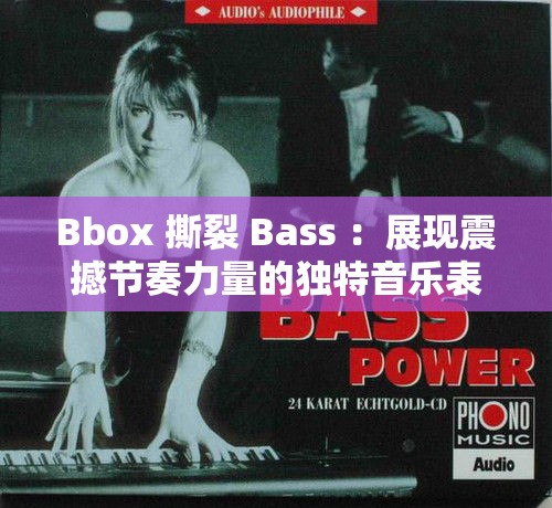 Bbox 撕裂 Bass ：展現(xiàn)震撼節(jié)奏力量的獨(dú)特音樂(lè)表演