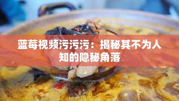 藍(lán)莓視頻污污污：揭秘其不為人知的隱秘角落