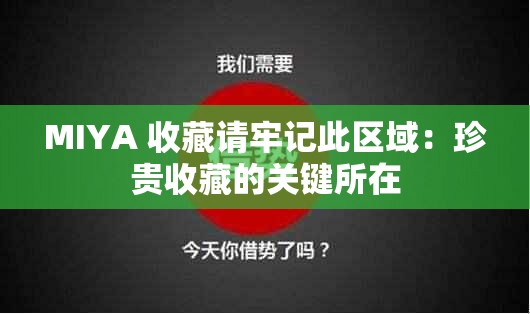 MIYA 收藏請(qǐng)牢記此區(qū)域：珍貴收藏的關(guān)鍵所在