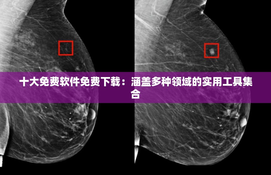 十大免費(fèi)軟件免費(fèi)下載：涵蓋多種領(lǐng)域的實(shí)用工具集合