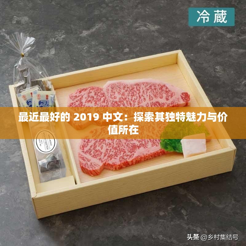最近最好的 2019 中文：探索其獨(dú)特魅力與價(jià)值所在
