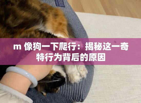 m 像狗一下爬行：揭秘這一奇特行為背后的原因