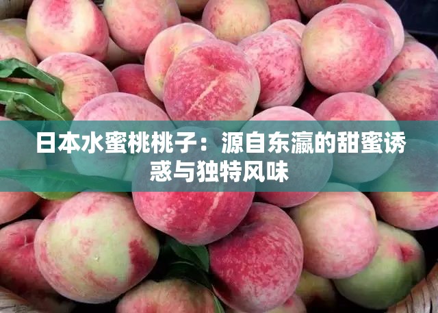 日本水蜜桃桃子：源自東瀛的甜蜜誘惑與獨(dú)特風(fēng)味