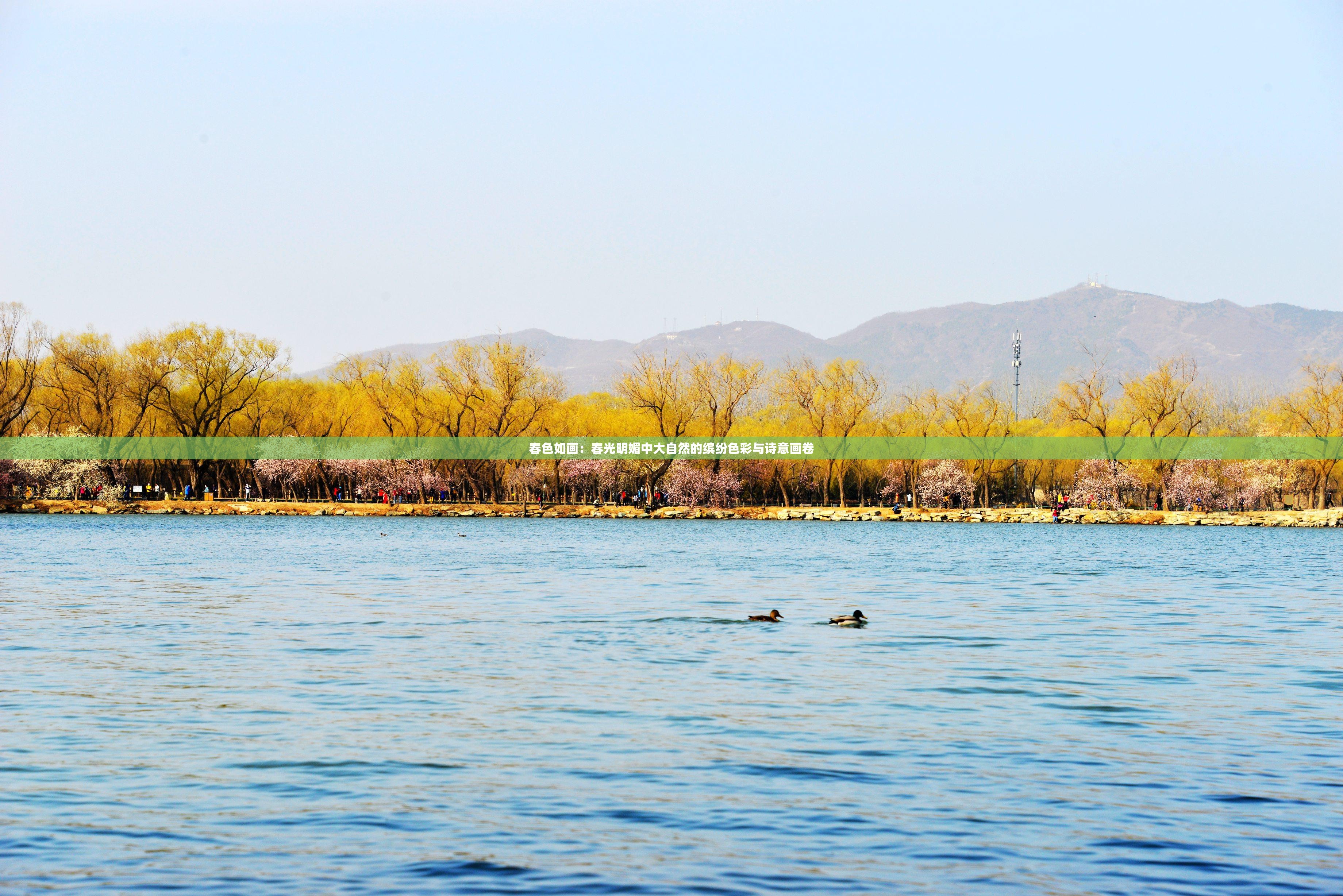 春色如畫：春光明媚中大自然的繽紛色彩與詩意畫卷