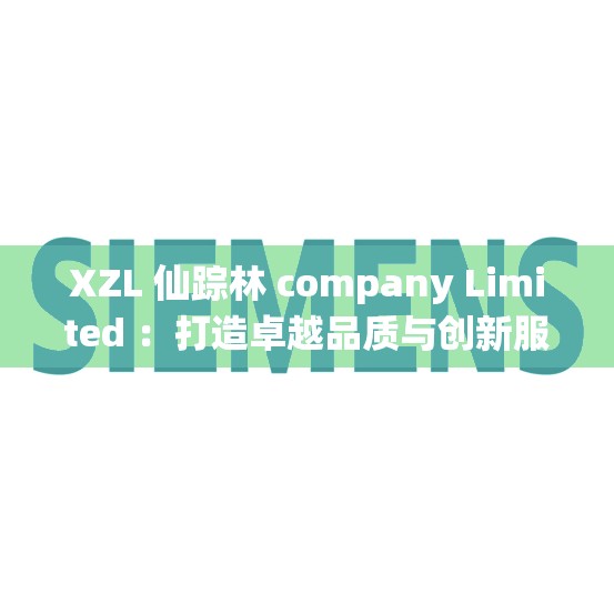 XZL 仙蹤林 company Limited ：打造卓越品質(zhì)與創(chuàng)新服務(wù)的行業(yè)引領(lǐng)者