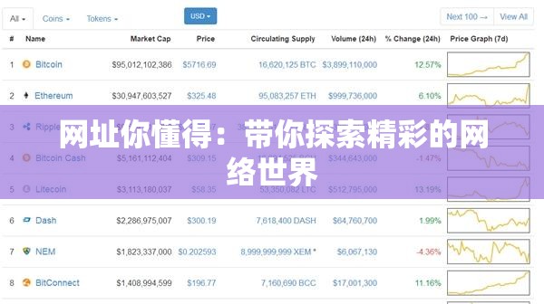 網(wǎng)址你懂得：帶你探索精彩的網(wǎng)絡(luò)世界