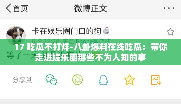 17 吃瓜不打烊-八卦爆料在線吃瓜：帶你走進娛樂圈那些不為人知的事