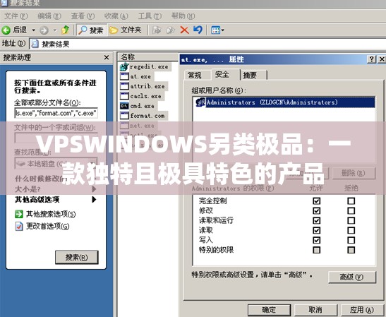 VPSWINDOWS另類極品：一款獨特且極具特色的產(chǎn)品
